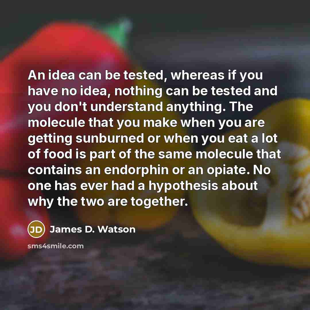 “An idea can be tested, whereas if you have no…” quote by James D. Watson
