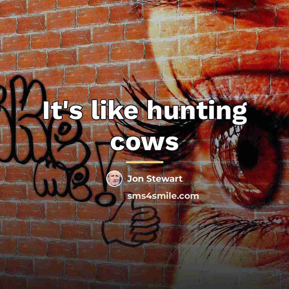 “It's like hunting cows…” quote by Jon Stewart
