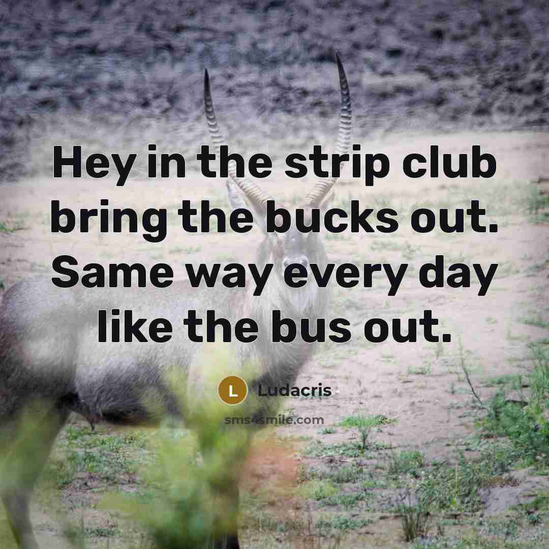 “Hey in the strip club bring the bucks out. Same…” quote by Ludacris