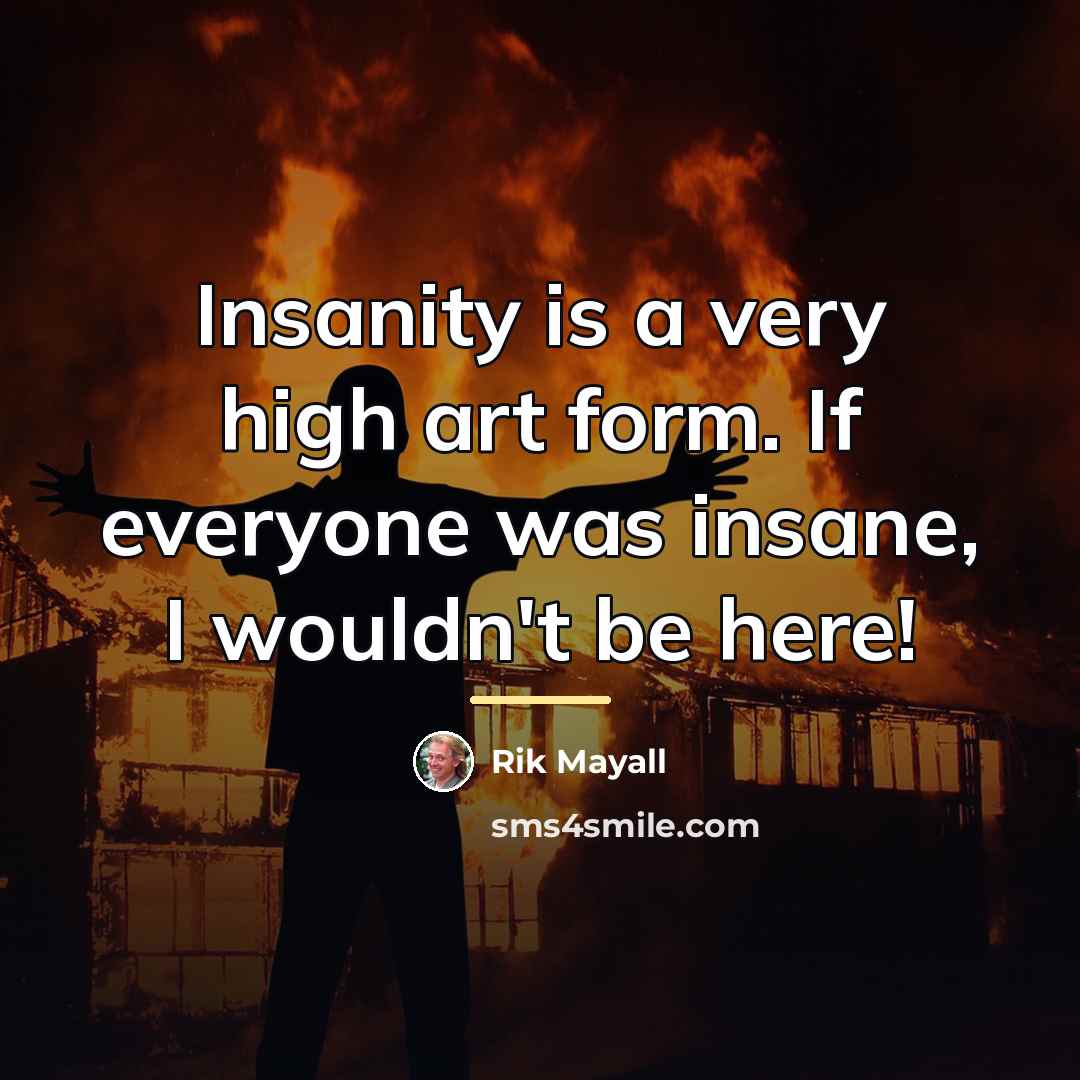 “Insanity is a very high art form. If everyone was…” quote by Rik Mayall