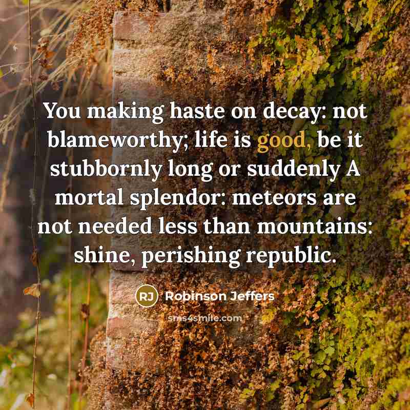 “You making haste on decay: not blameworthy; life is good,…” quote by Robinson Jeffers