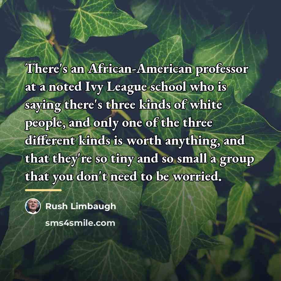 “There's an African-American professor at a noted Ivy League school…” quote by Rush Limbaugh