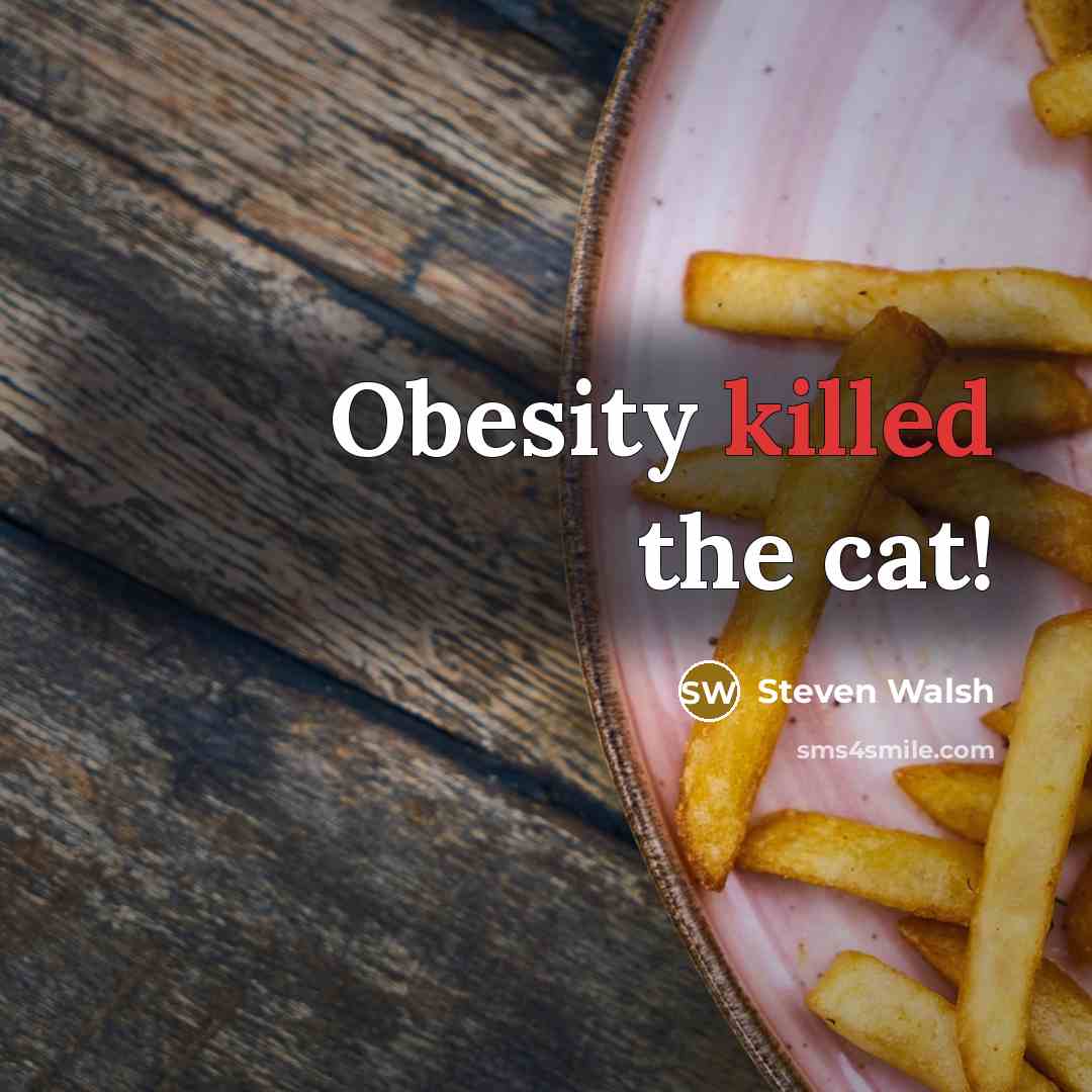 “Obesity killed the cat!” quote by Steven Walsh