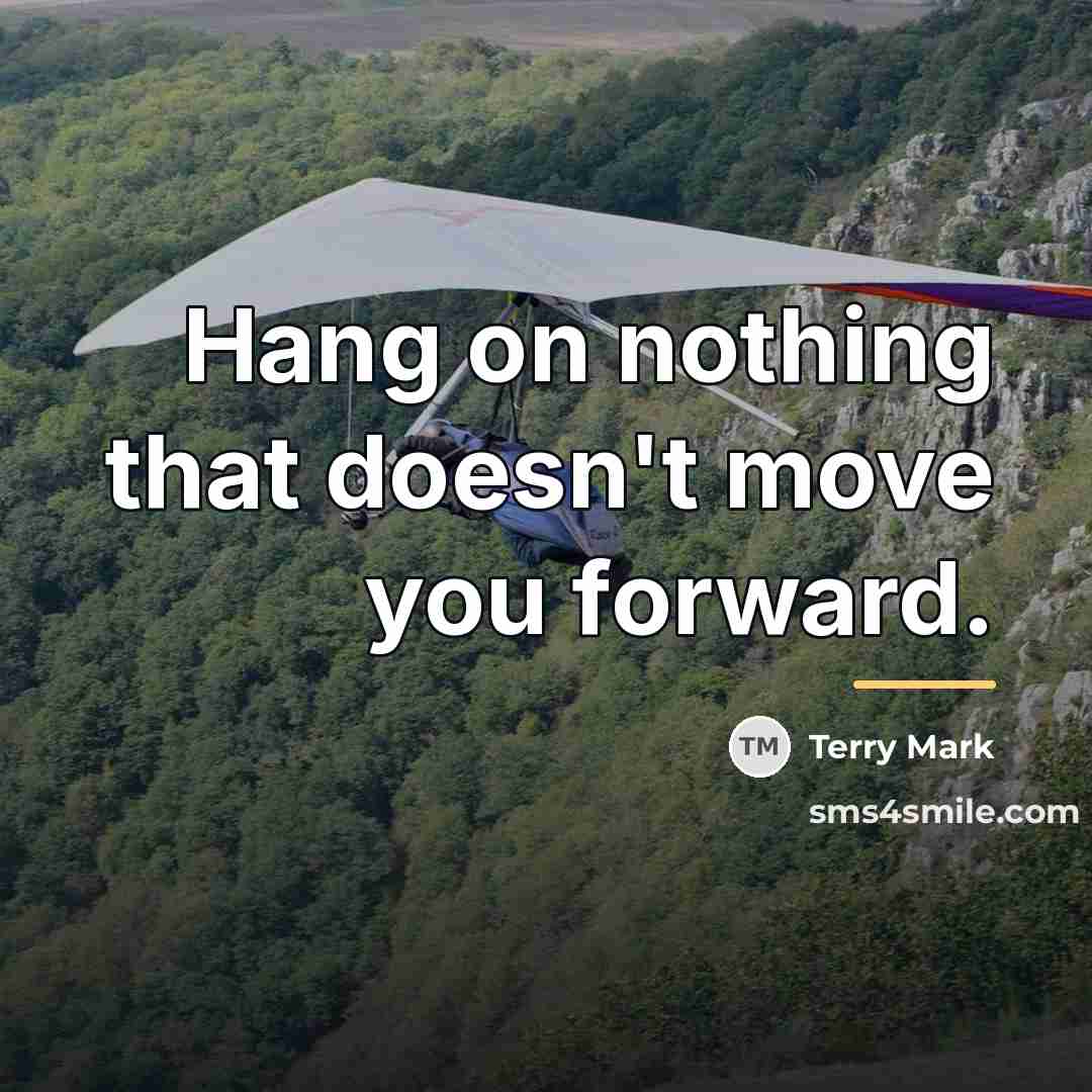 “Hang on nothing that doesn't move you forward.…” quote by Terry Mark