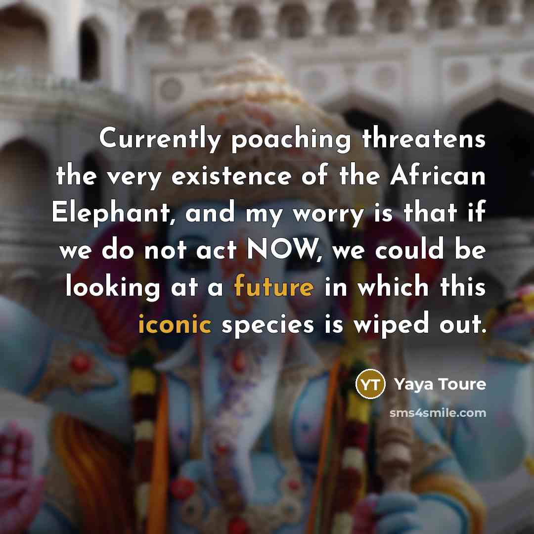 “Currently poaching threatens the very existence of the African Elephant,…” quote by Yaya Toure