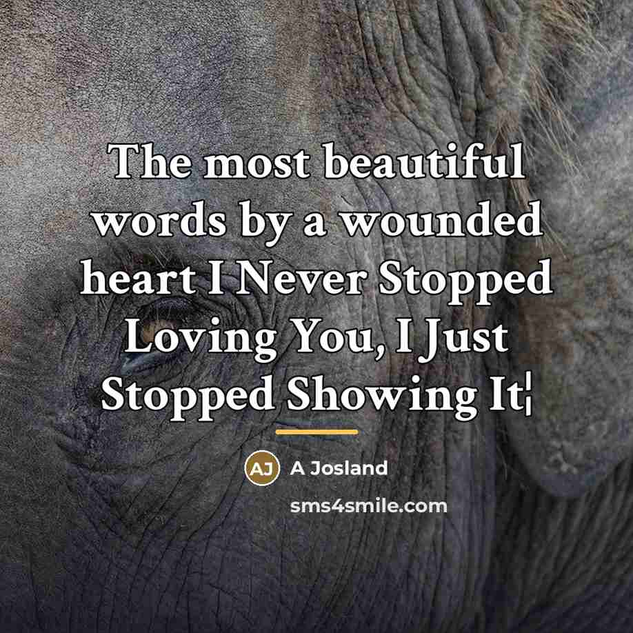 “The most beautiful words by a wounded heart I Never…” quote by A Josland