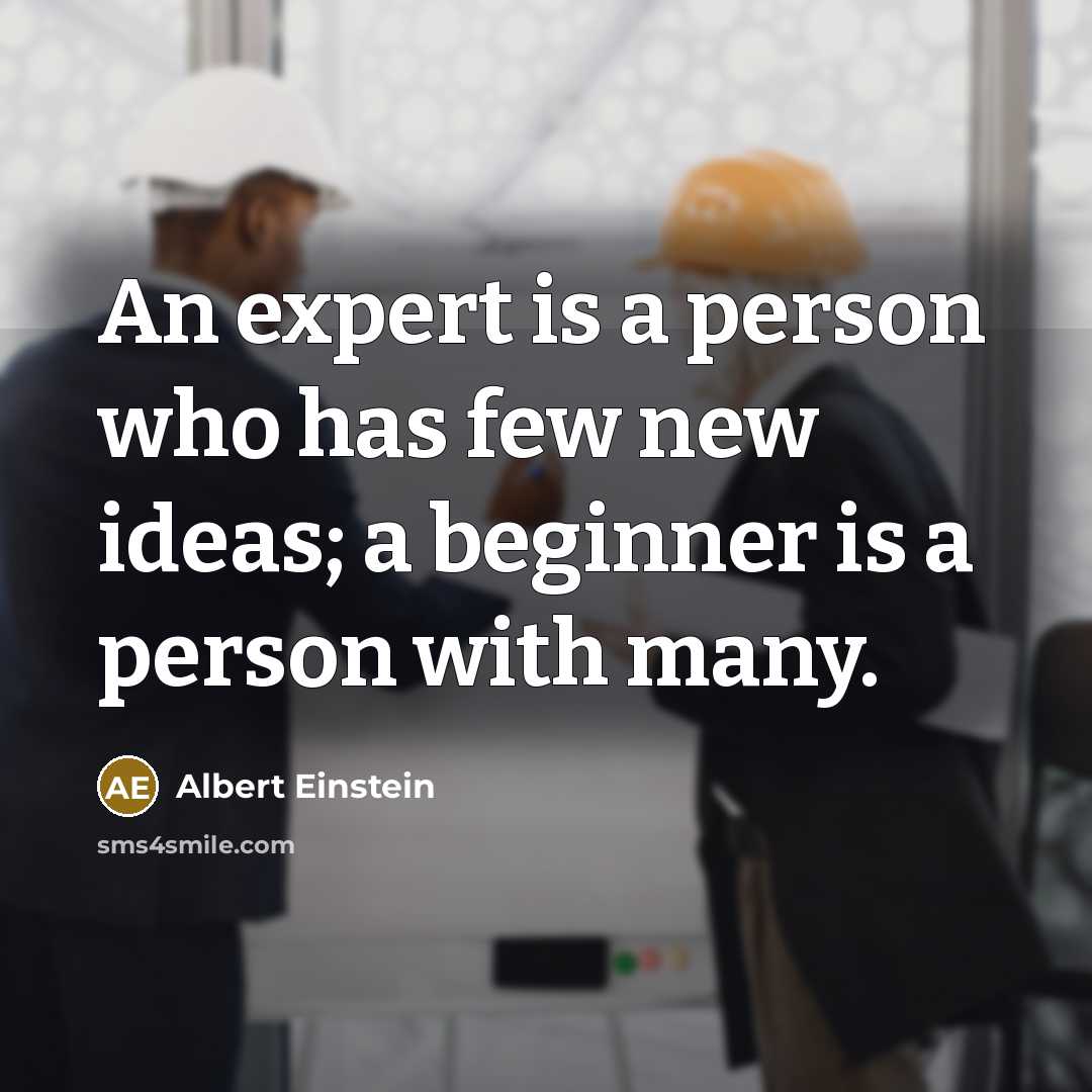 “An expert is a person who has few new ideas; a beginner is a person with many.” quote by Albert Einstein