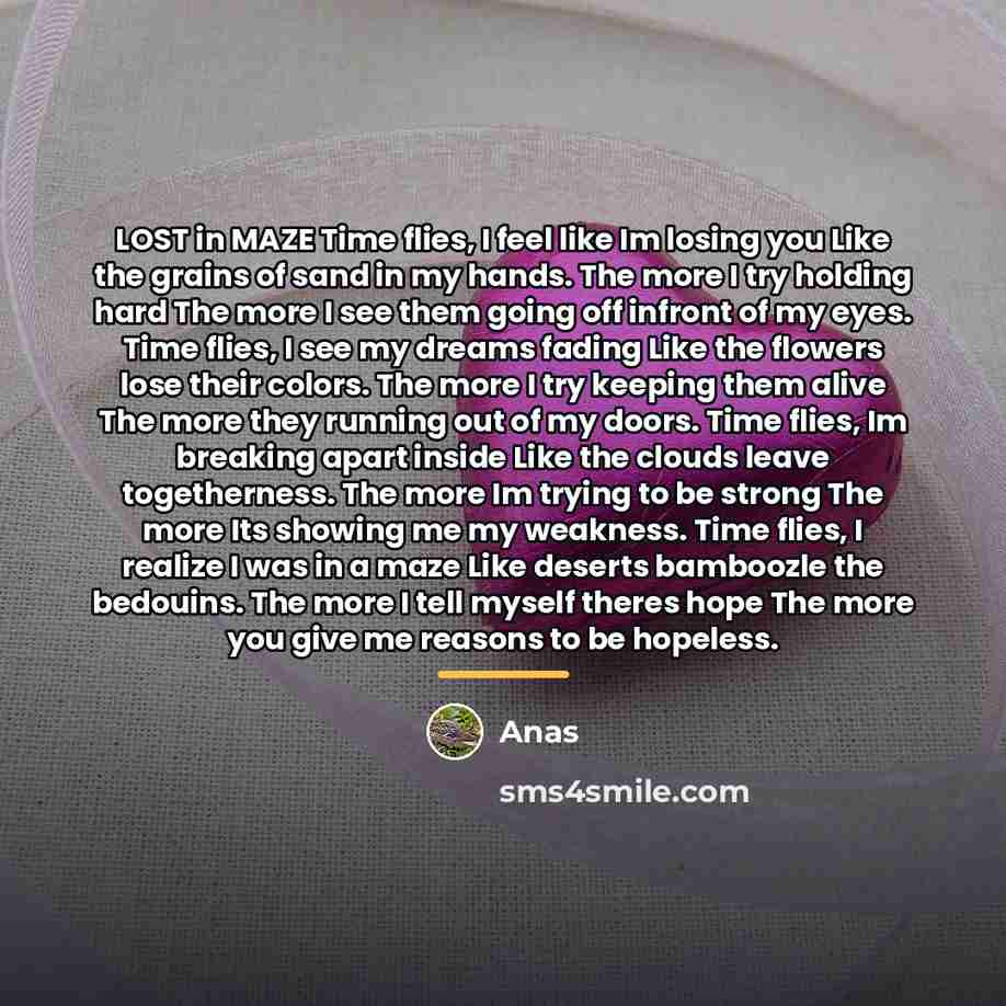 “LOST in MAZE Time flies, I feel like Im losing…” quote by Anas