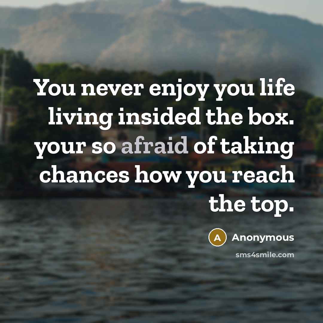 “You never enjoy you life living insided the box. your so afraid of taking chances how you reach the top.” quote by Anonymous