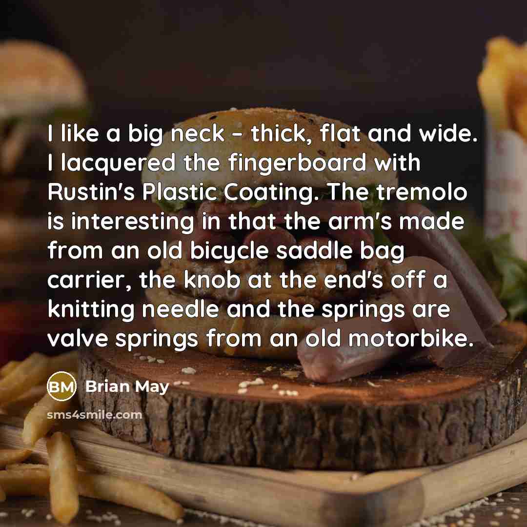 “I like a big neck – thick, flat and wide.…” quote by Brian May