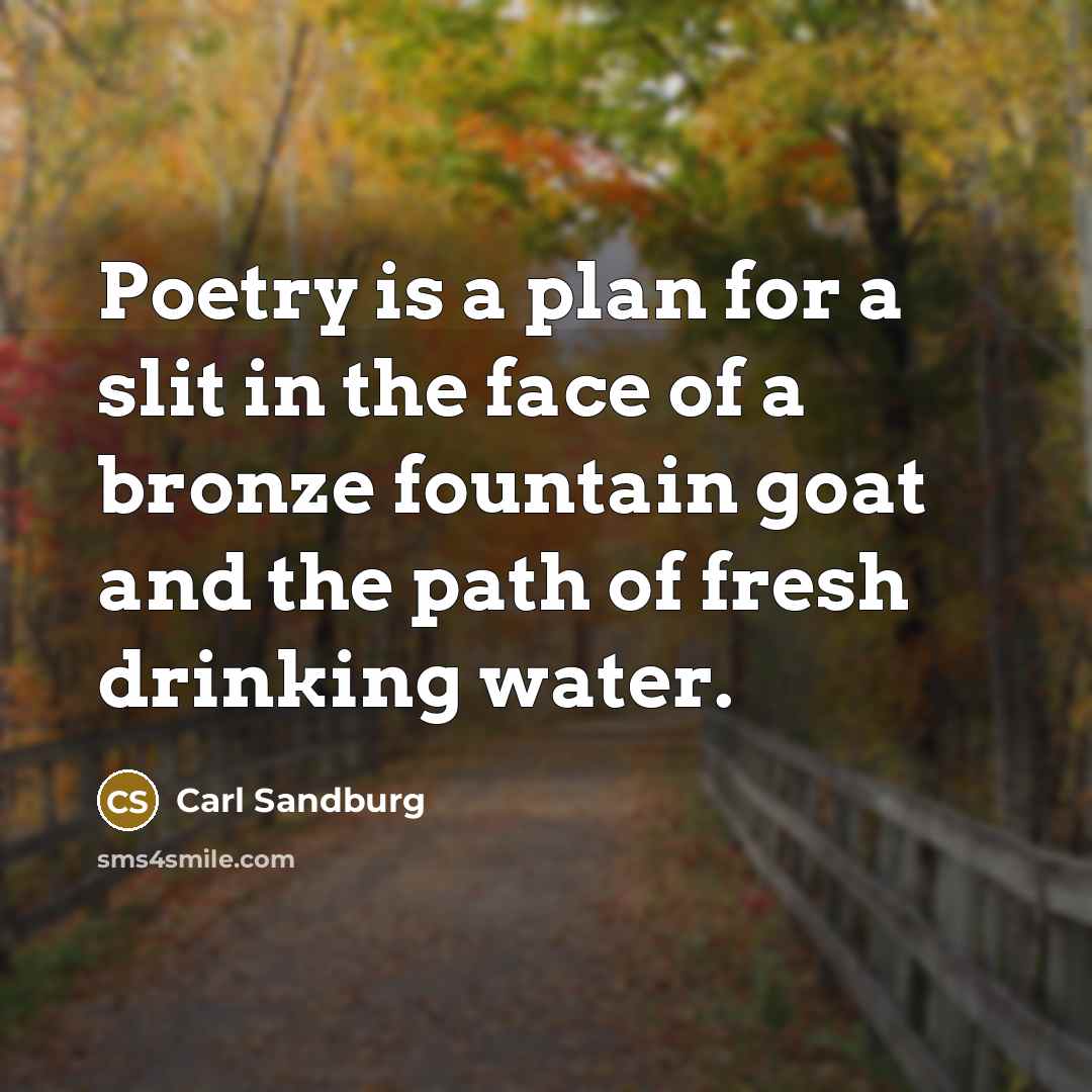 “Poetry is a plan for a slit in the face…” quote by Carl Sandburg