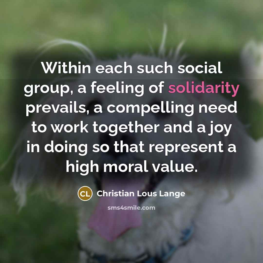 “Within each such social group, a feeling of solidarity prevails,…” quote by Christian Lous Lange