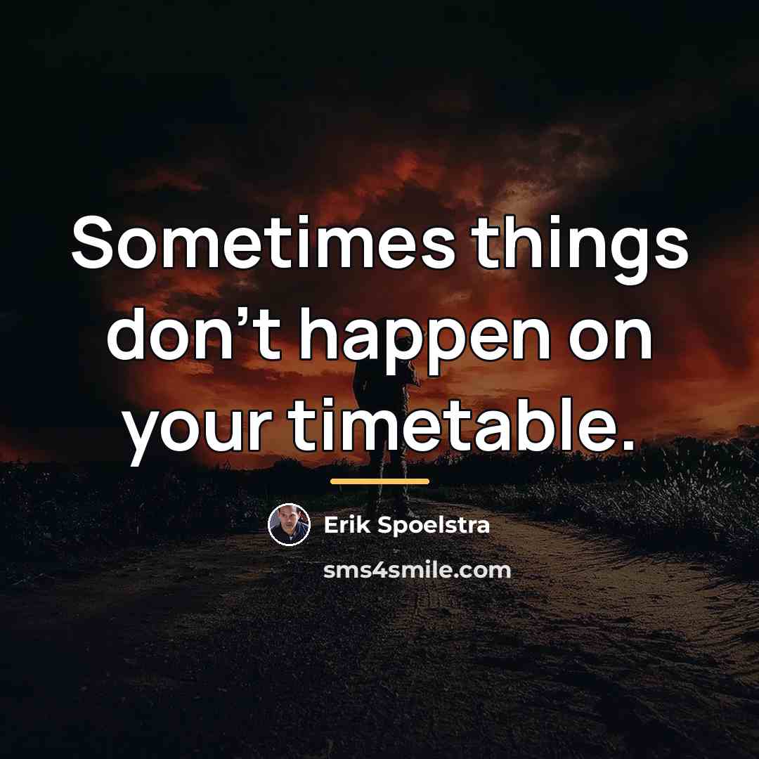 “Sometimes things don't happen on your timetable.…” quote by Erik Spoelstra