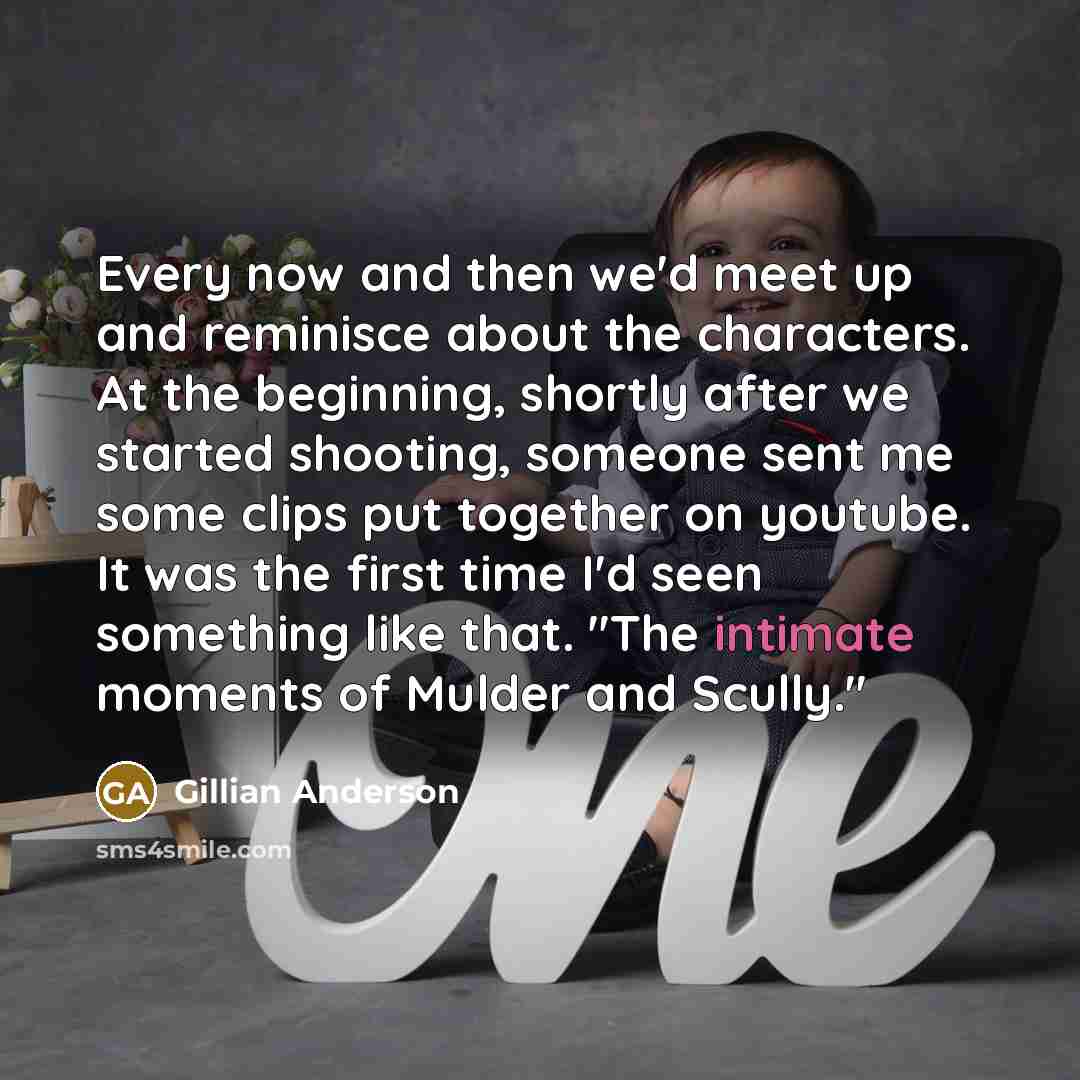 “Every now and then we'd meet up and reminisce about…” quote by Gillian Anderson