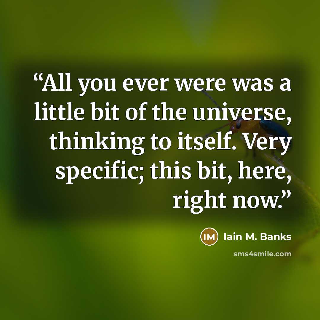 “All you ever were was a little bit of the universe, thinking to itself. Very specific; this bit, here, right now.” quote by Iain M. Banks