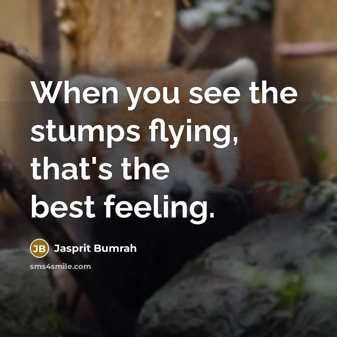 “When you see the stumps flying, that's the best feeling.…” quote by Jasprit Bumrah