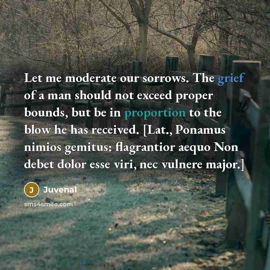 “Let me moderate our sorrows. The grief of a man…” quote by Juvenal