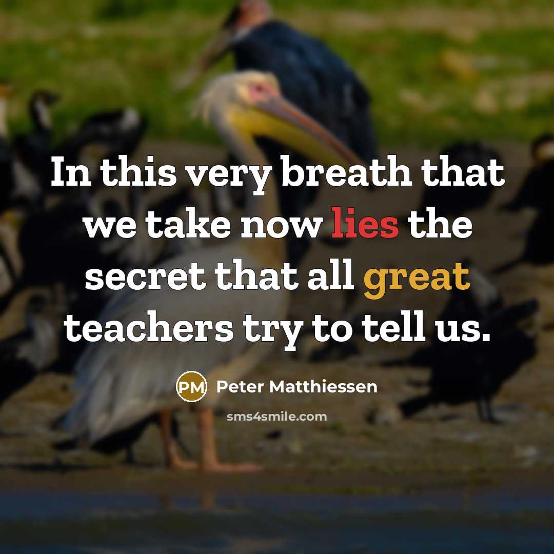 “In this very breath that we take now lies the…” quote by Peter Matthiessen