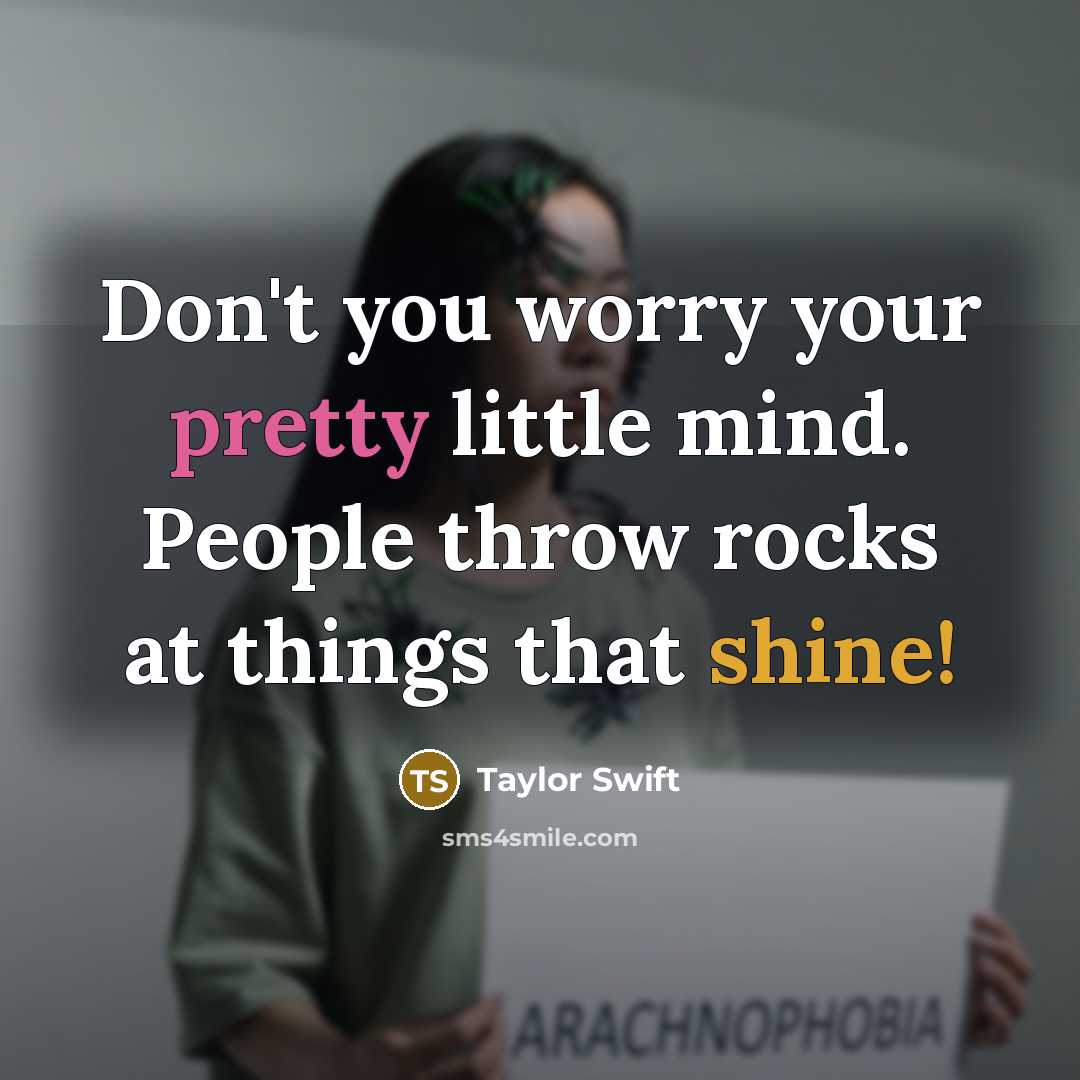 “Don't you worry your pretty little mind. People throw rocks…” quote by Taylor Swift