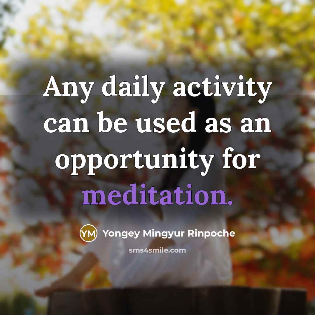 “Any daily activity can be used as an opportunity for…” quote by Yongey Mingyur Rinpoche