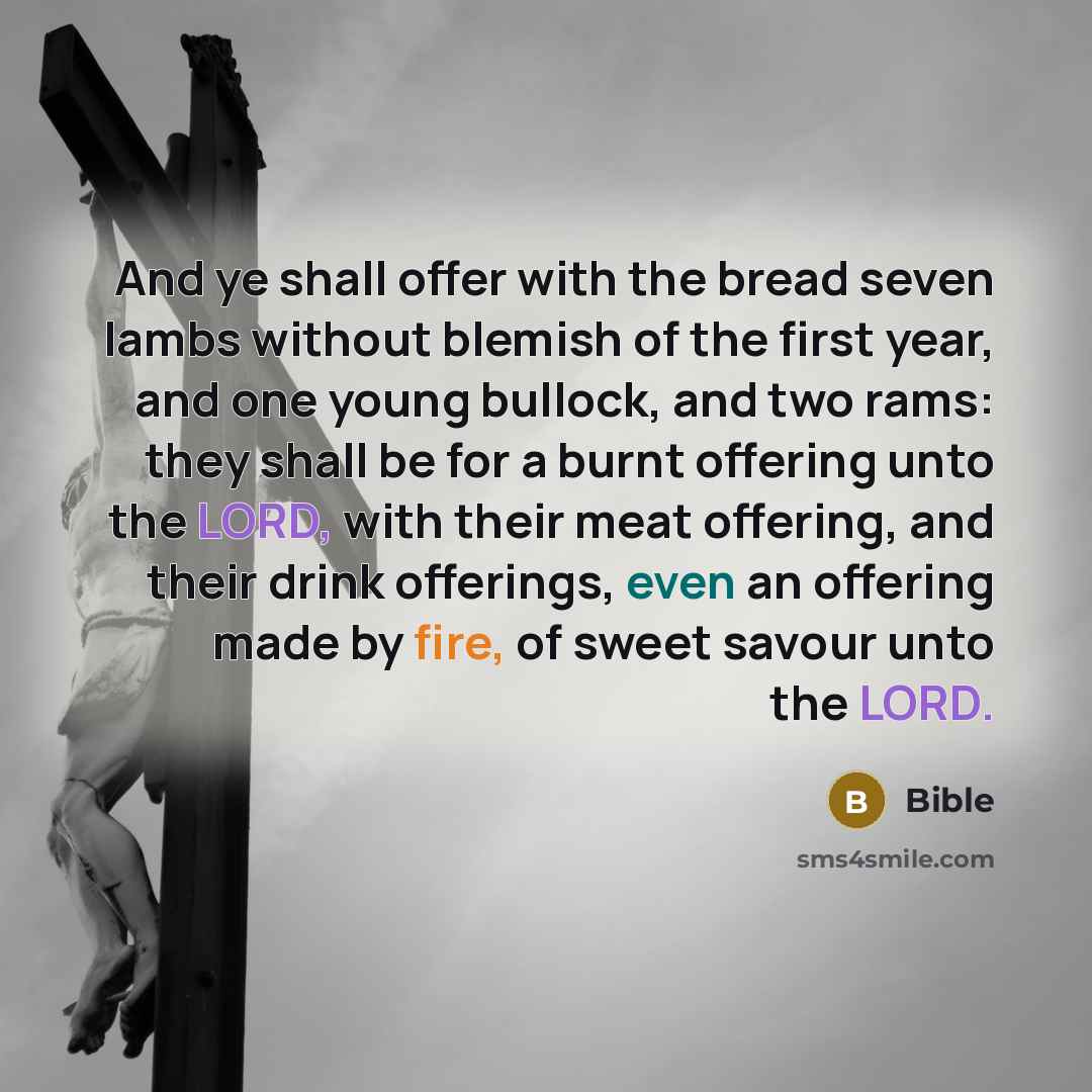 “And ye shall offer with the bread seven lambs without…” quote by Bible