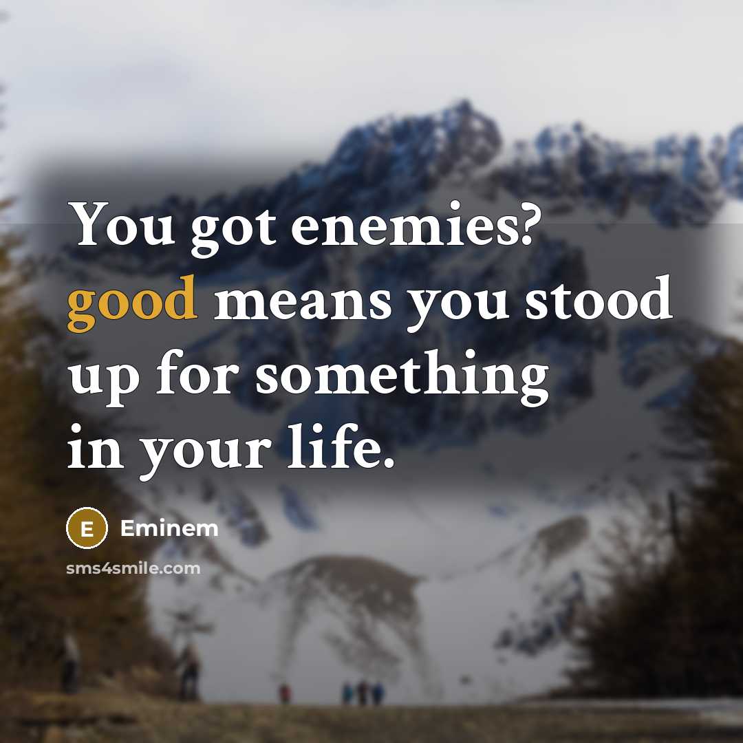 “You got enemies? good means you stood up for something in your life.” quote by Eminem