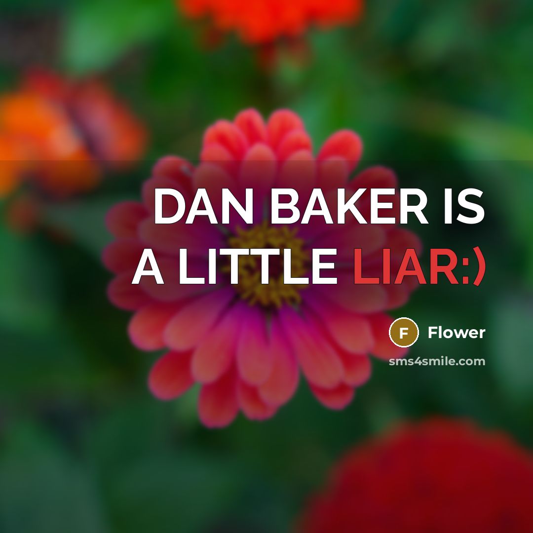 “DAN BAKER IS A LITTLE LIAR:)” quote by Flower