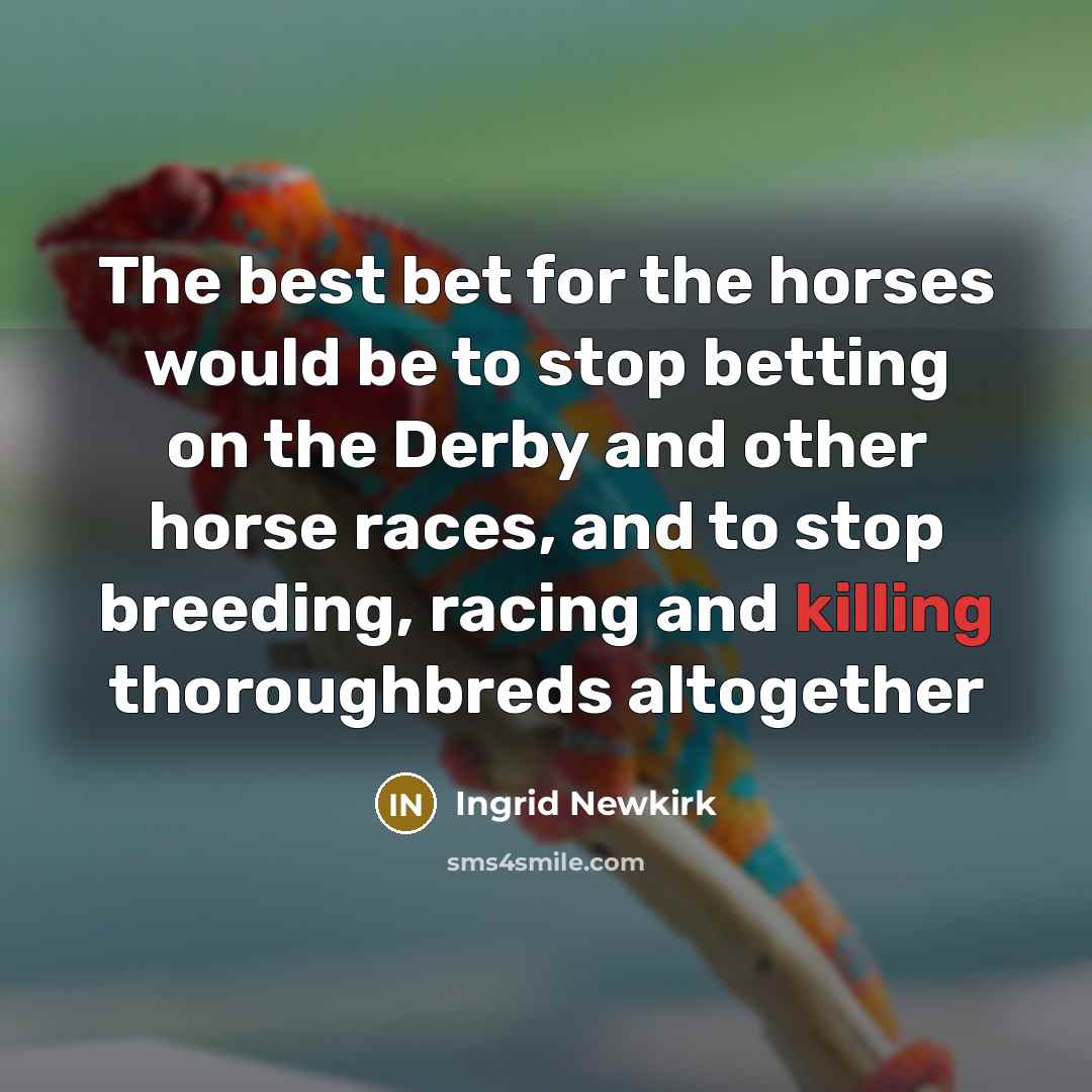 “The best bet for the horses would be to stop…” quote by Ingrid Newkirk