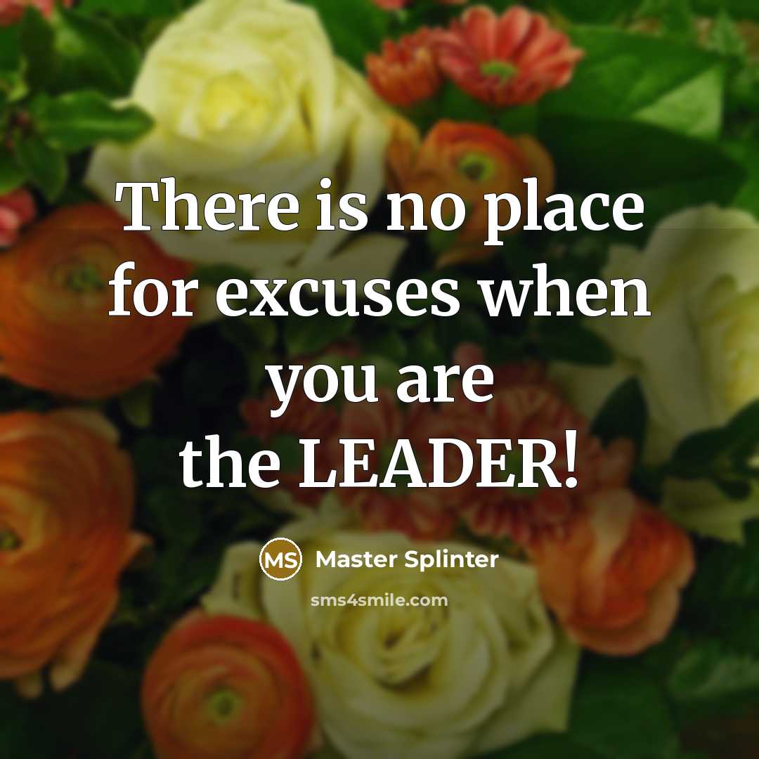 “There is no place for excuses when you are the LEADER!” quote by Master Splinter