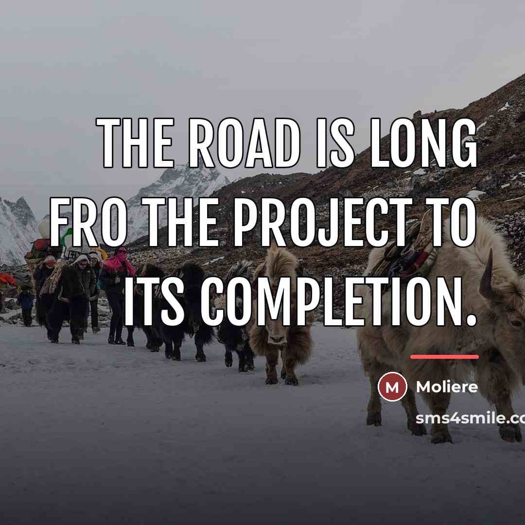 “The road is long fro the project to its completion.…” quote by Moliere