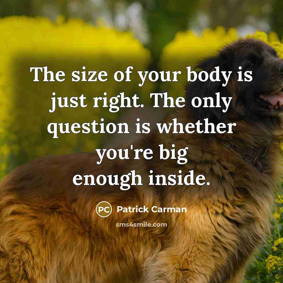 “The size of your body is just right. The only…” quote by Patrick Carman