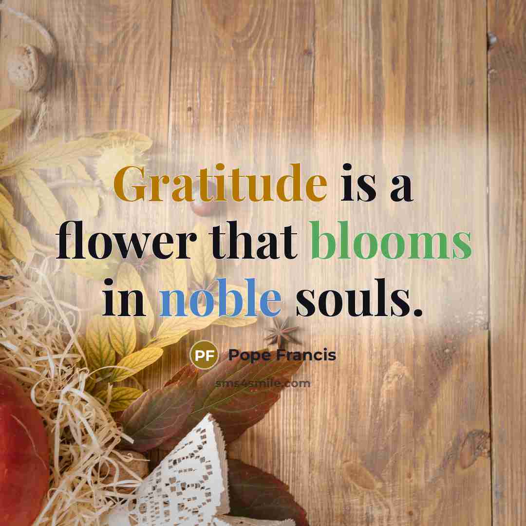 “Gratitude is a flower that blooms in noble souls.…” quote by Pope Francis