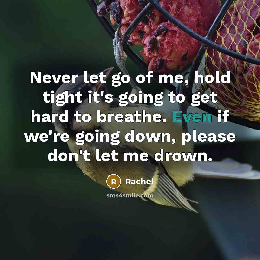 “Never let go of me, hold tight it's going to get hard to breathe. Even if we're going down, please don't let me drown.” quote by Rachel