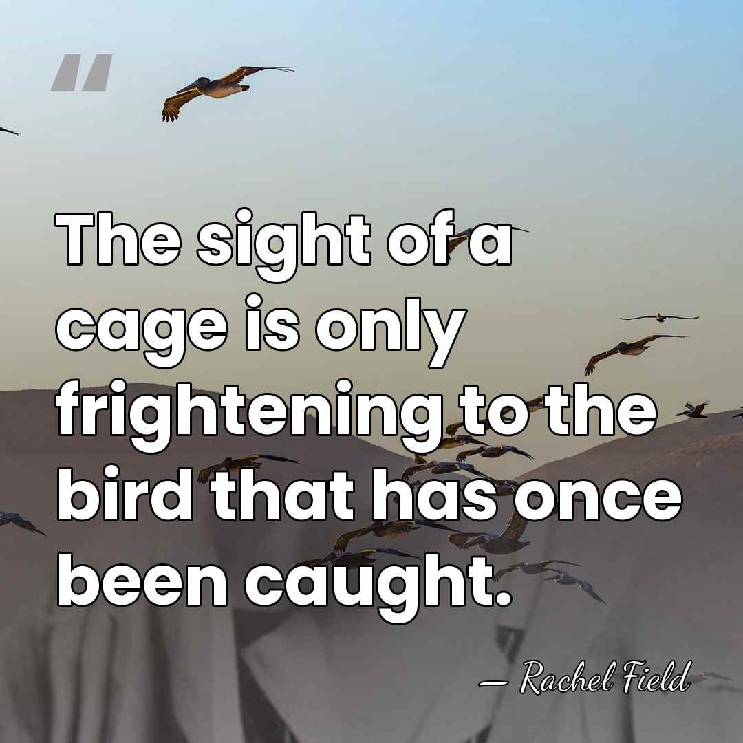 The sight of a cage is only frightening to the bird that&hellip; - Rachel Field