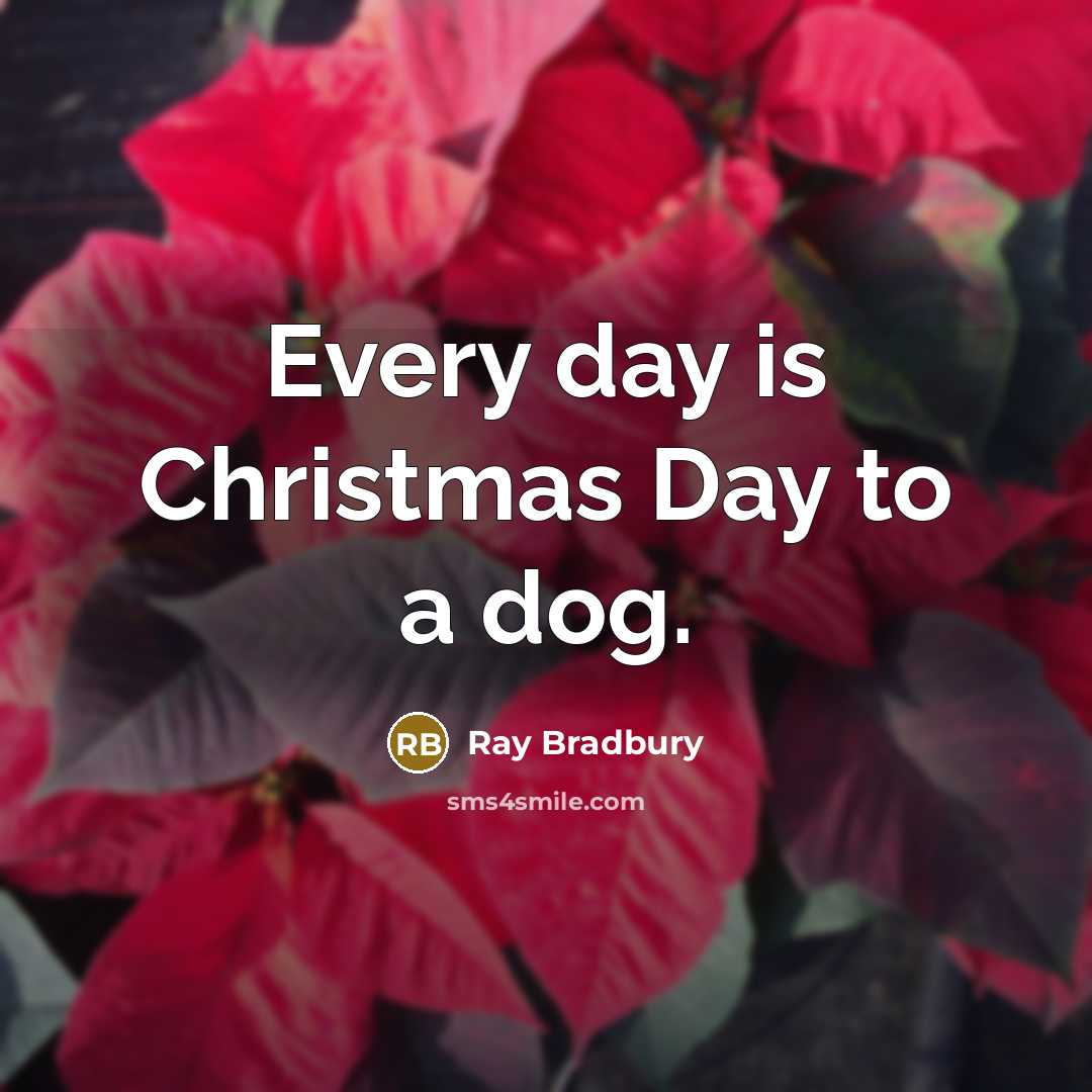 “Every day is Christmas Day to a dog.…” quote by Ray Bradbury