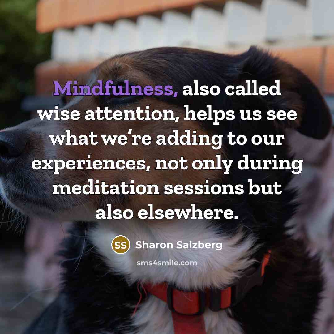 “Mindfulness, also called wise attention, helps us see what we’re…” quote by Sharon Salzberg
