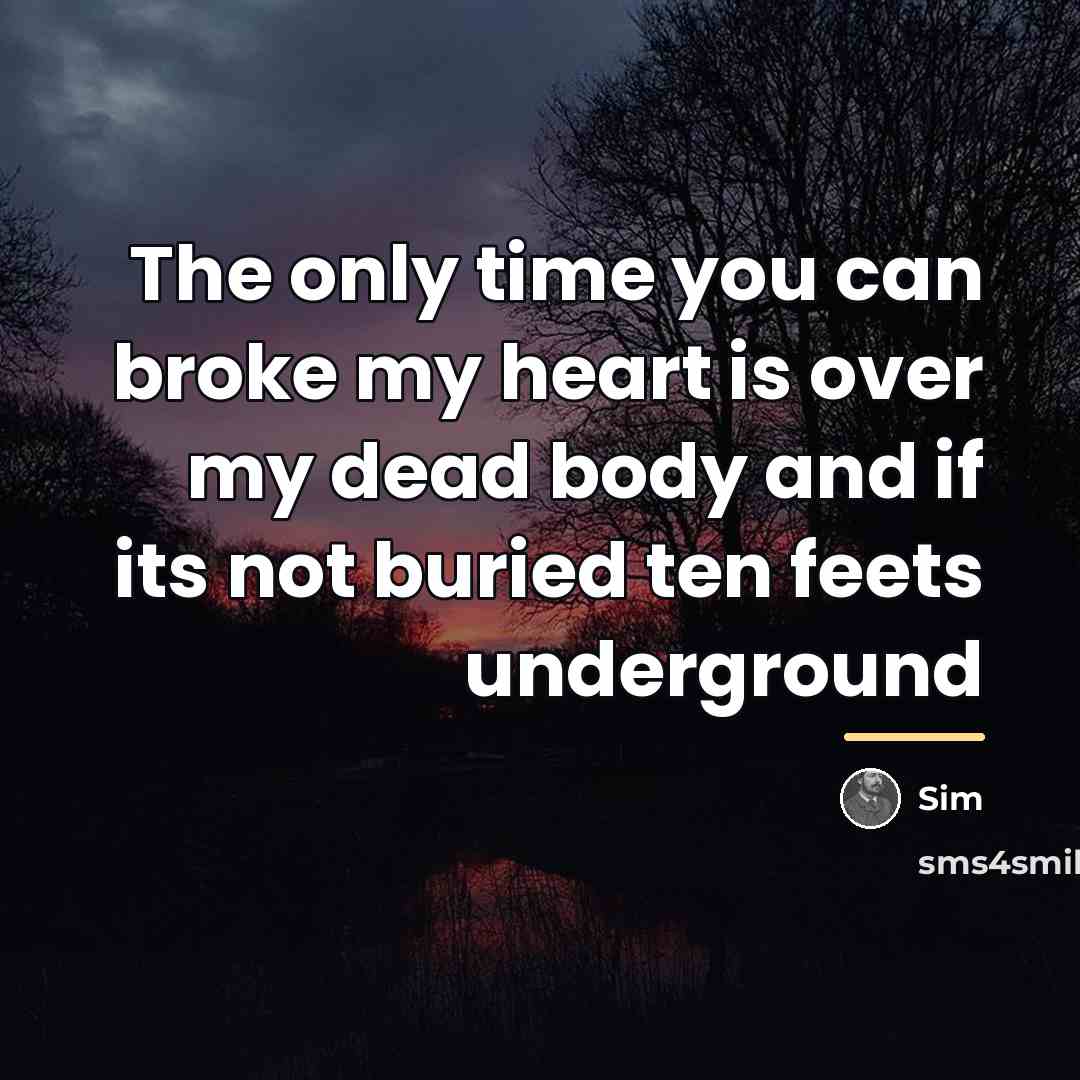 “The only time you can broke my heart is over…” quote by Sim
