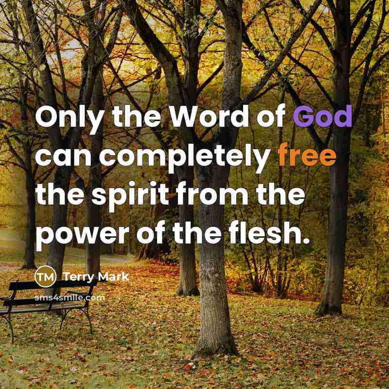 “Only the Word of God can completely free the spirit from the power of the flesh.” quote by Terry Mark