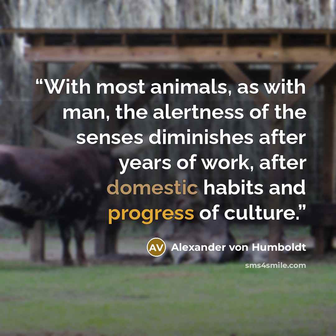 “With most animals, as with man, the alertness of the senses diminishes after years of work, after domestic habits and progress of culture.” quote by Alexander von Humboldt