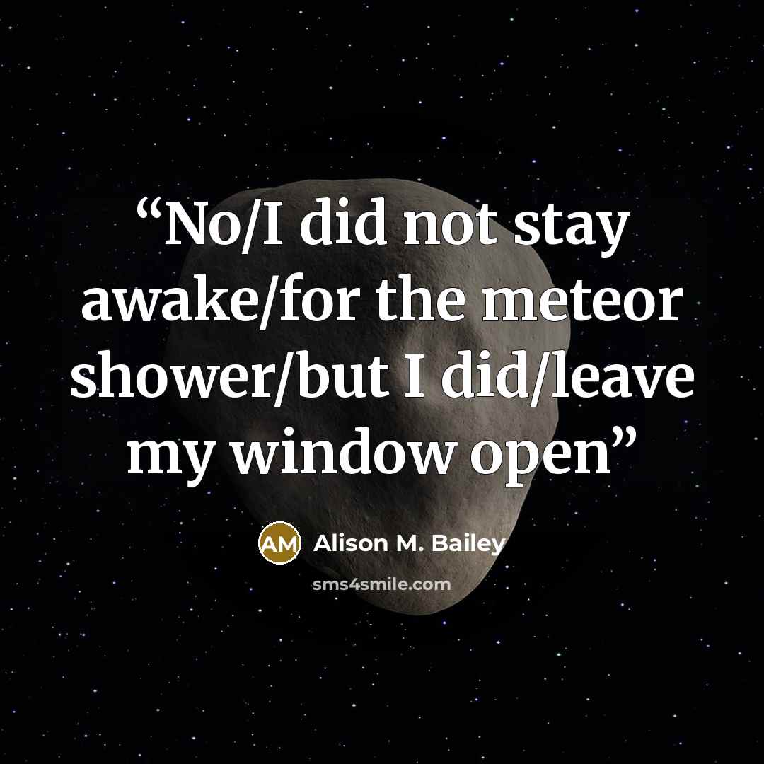 “No/I did not stay awake/for the meteor shower/but I did/leave my window open” quote by Alison M. Bailey