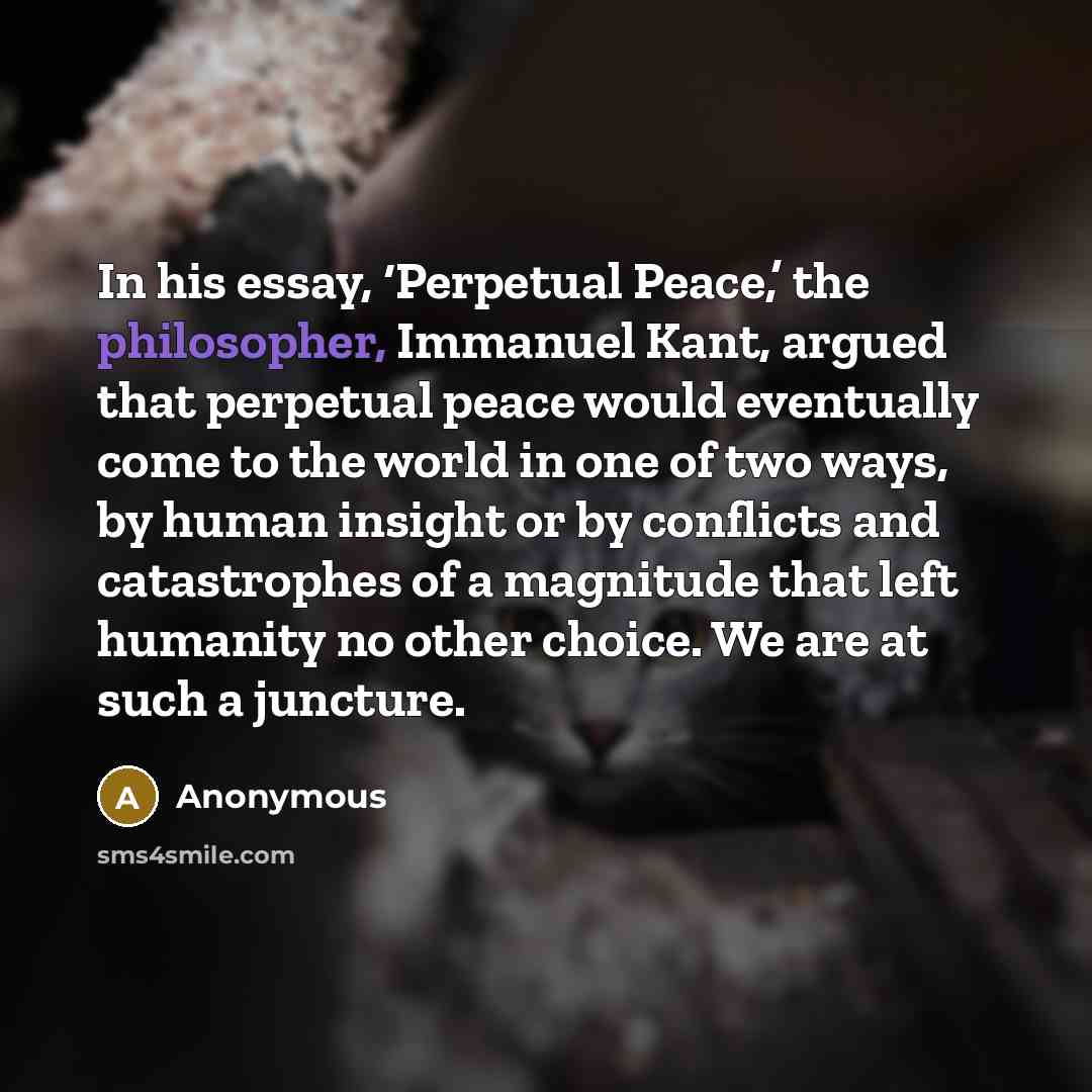 “In his essay, ‘Perpetual Peace,’ the philosopher, Immanuel Kant, argued…” quote by Anonymous