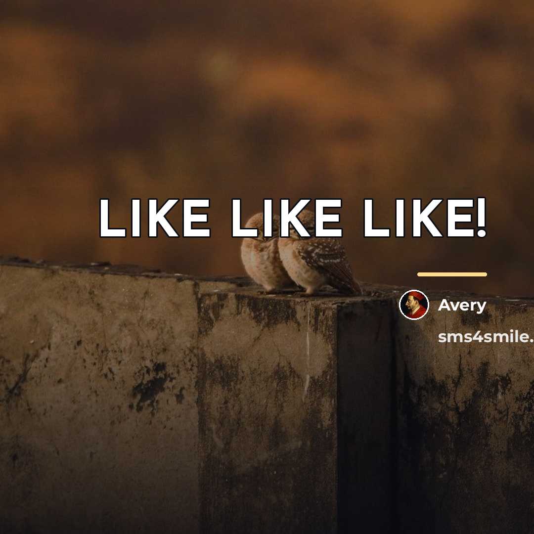 “LIKE LIKE LIKE!…” quote by Avery