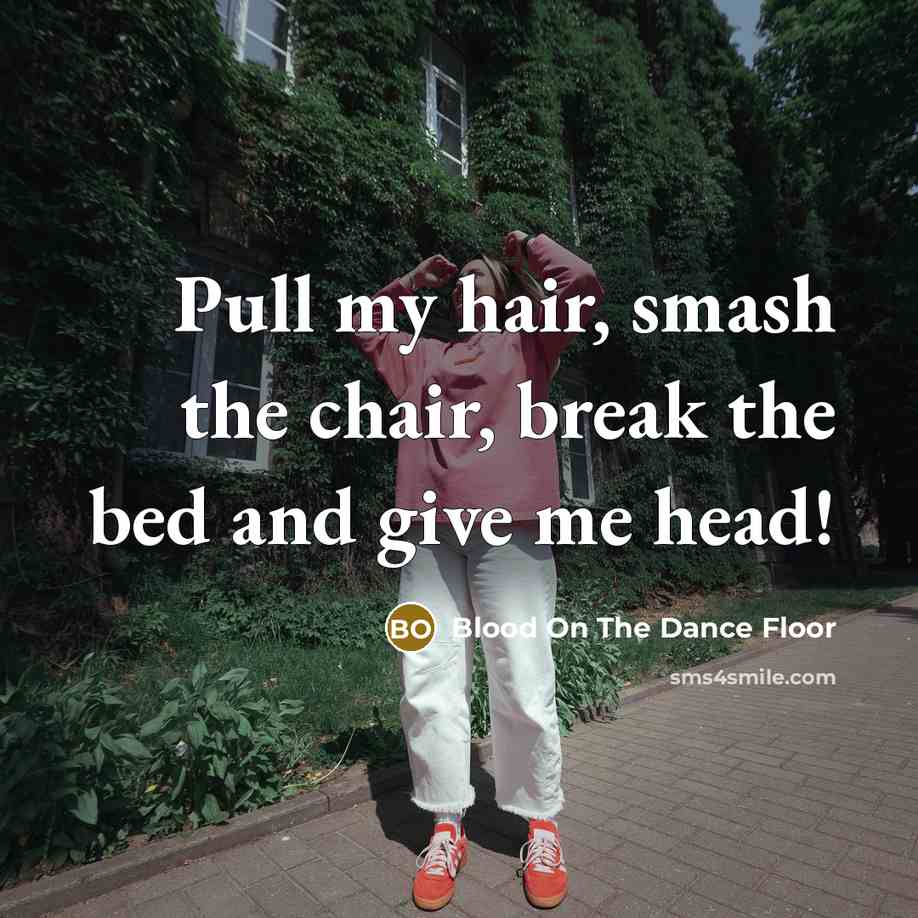 “Pull my hair, smash the chair, break the bed and…” quote by Blood On The Dance Floor