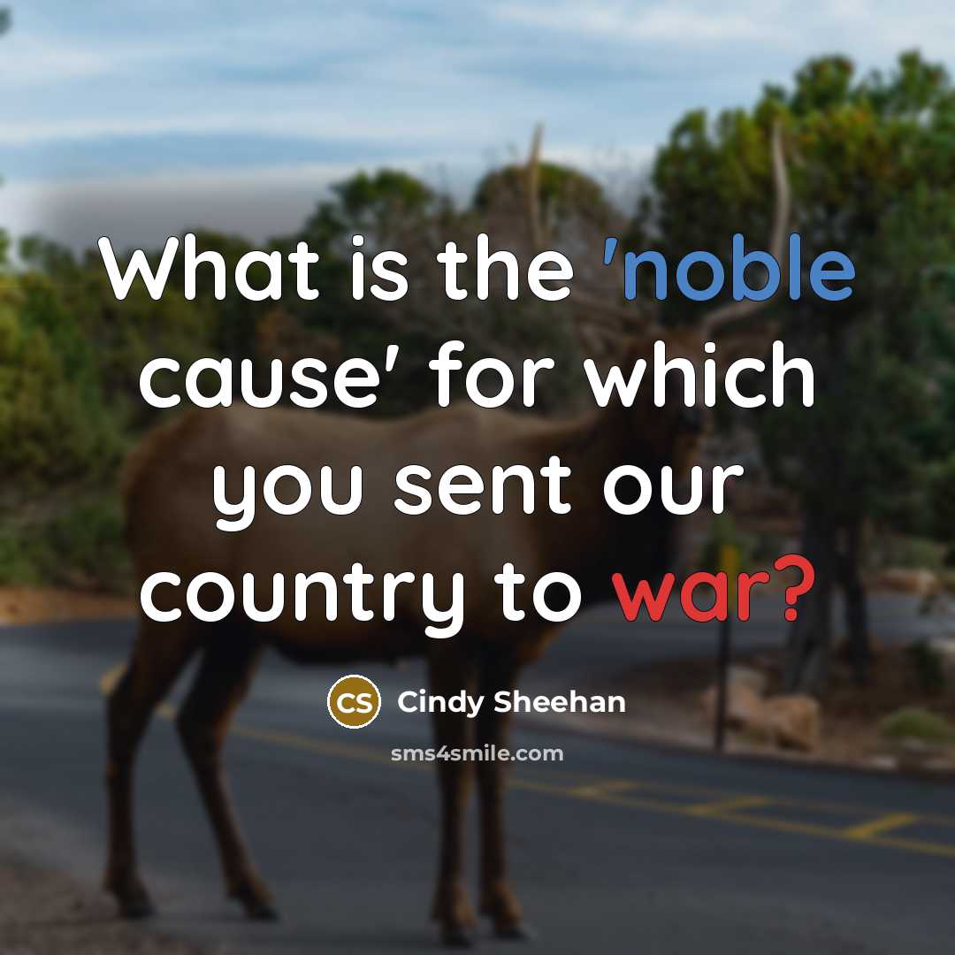 “What is the 'noble cause' for which you sent our…” quote by Cindy Sheehan
