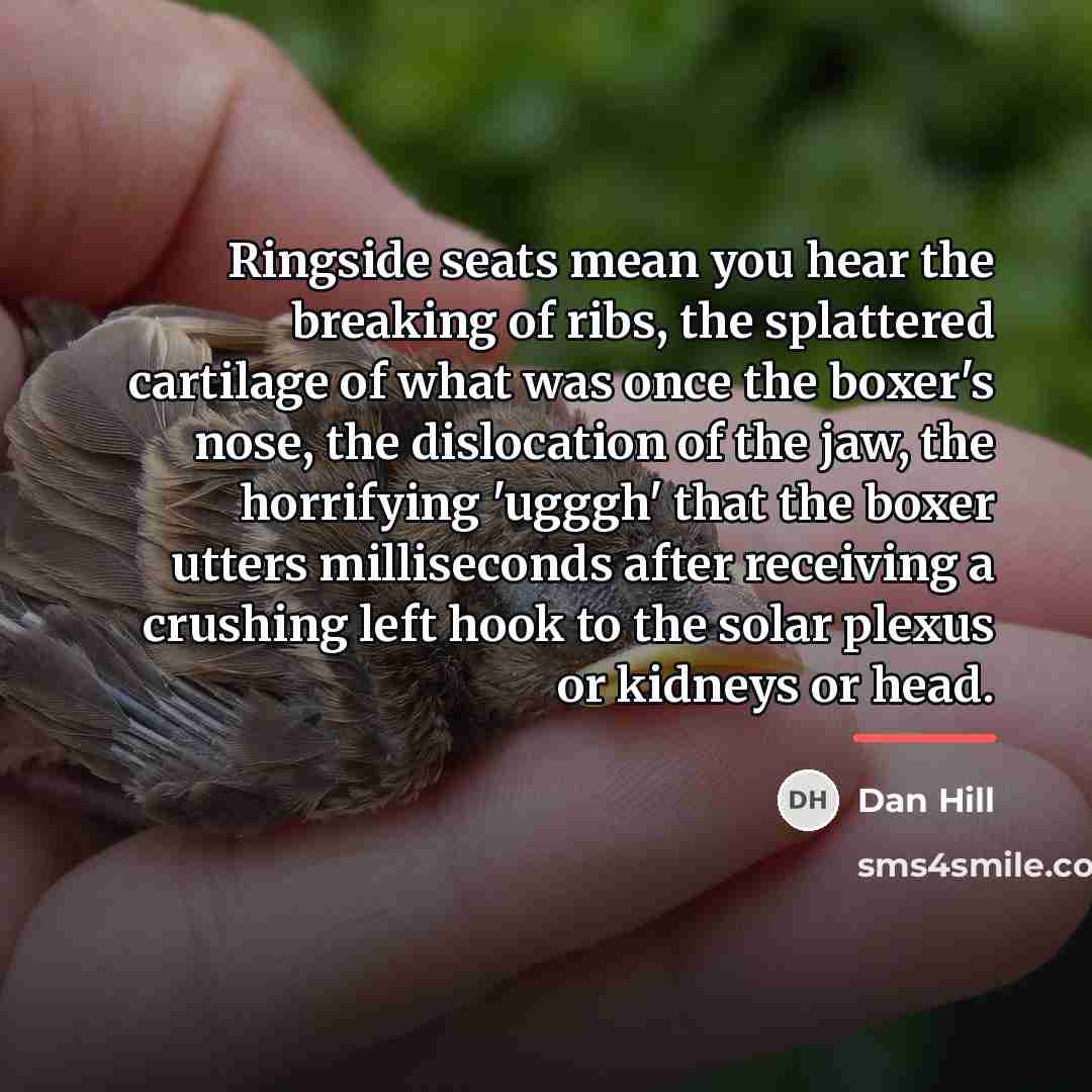 “Ringside seats mean you hear the breaking of ribs, the…” quote by Dan Hill