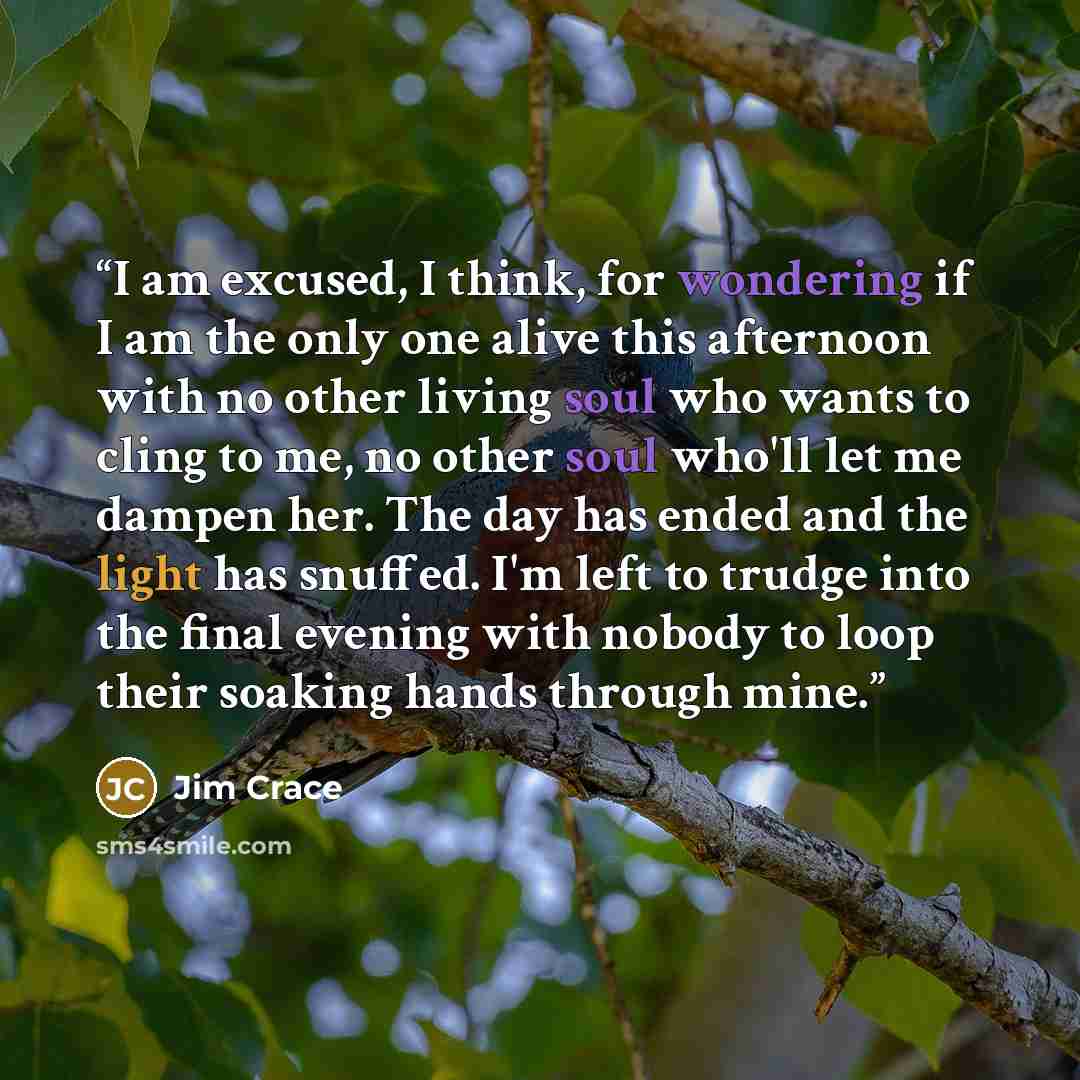 “I am excused, I think, for wondering if I am the only one alive this afternoon with no other living soul who wants to cling to me, no other soul who'll let me dampen her. The day has ended and the light has snuffed. I'm left to trudge into the final evening with nobody to loop their soaking hands…” quote by Jim Crace