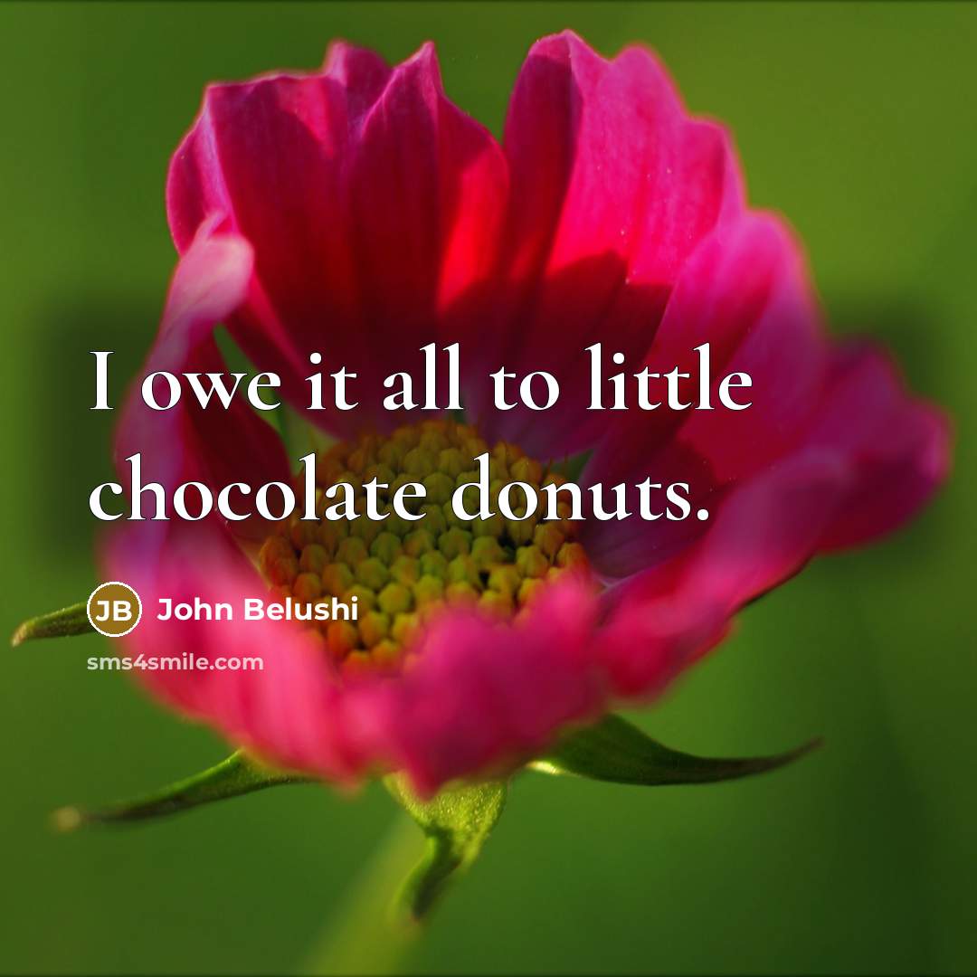 “I owe it all to little chocolate donuts.…” quote by John Belushi