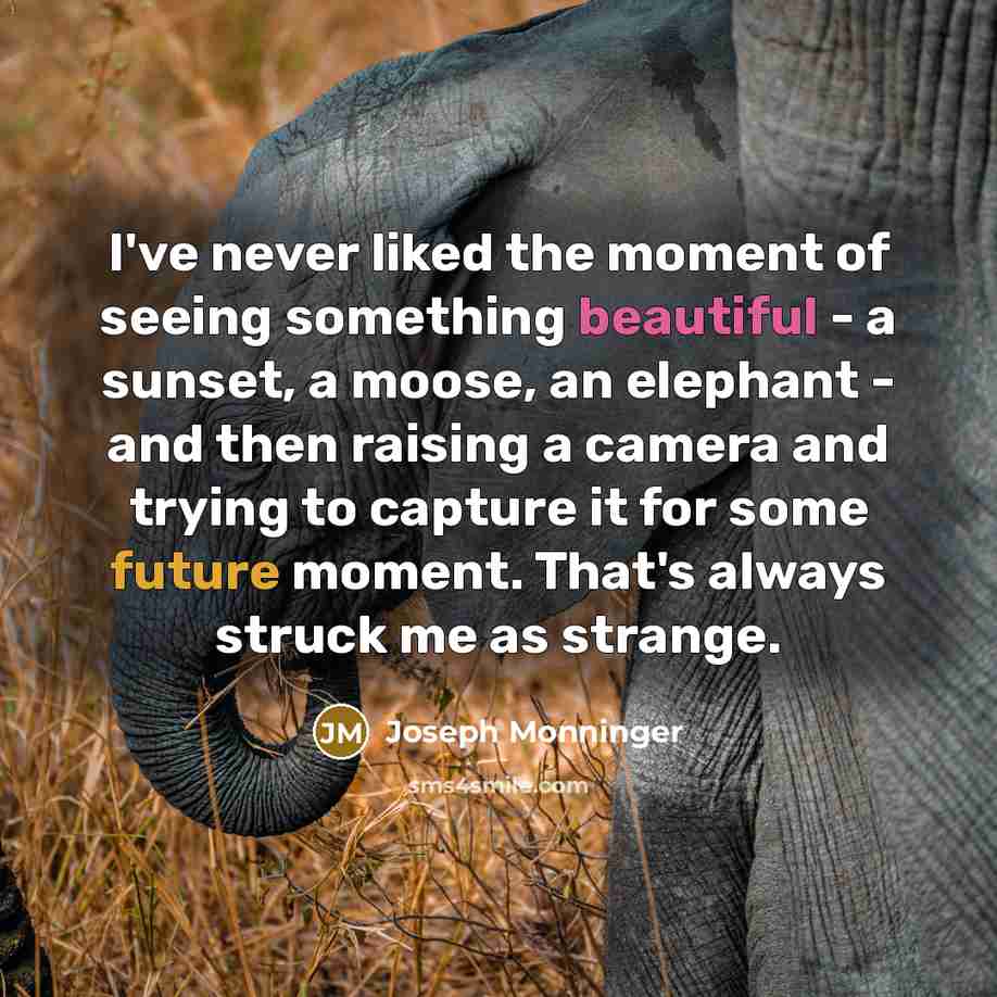 “I've never liked the moment of seeing something beautiful -…” quote by Joseph Monninger