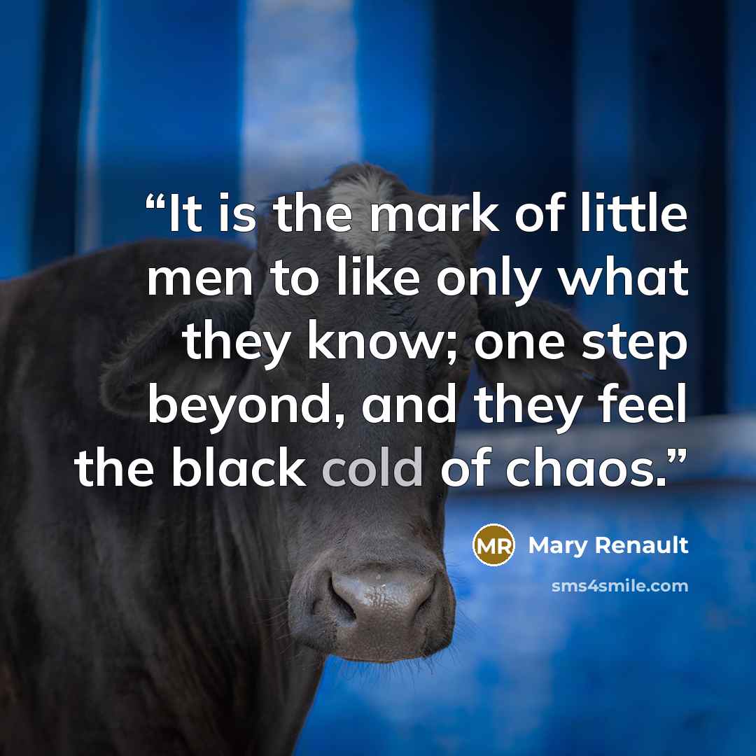 “It is the mark of little men to like only what they know; one step beyond, and they feel the black cold of chaos.” quote by Mary Renault