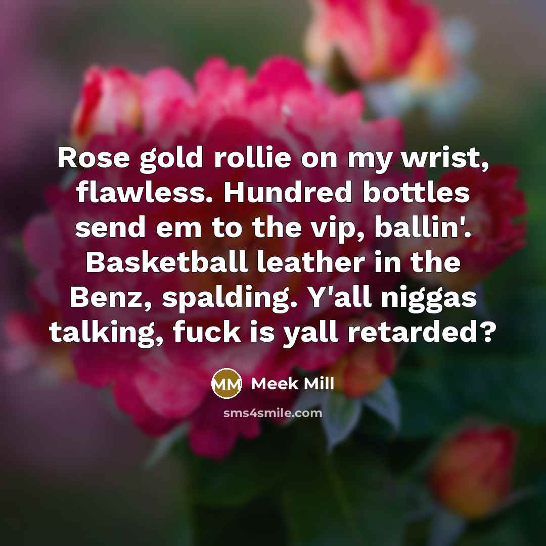 “Rose gold rollie on my wrist, flawless. Hundred bottles send…” quote by Meek Mill